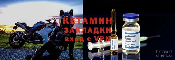 сатива Пересвет