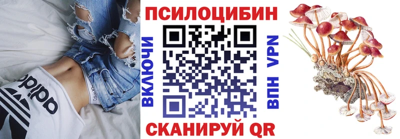 купить наркотик  Миньяр  shop наркотические препараты  Псилоцибиновые грибы ЛСД 